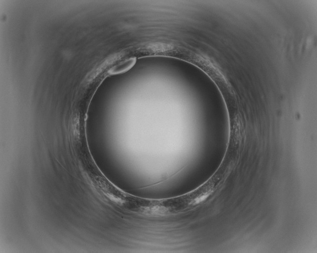 X0000086270212200703291444