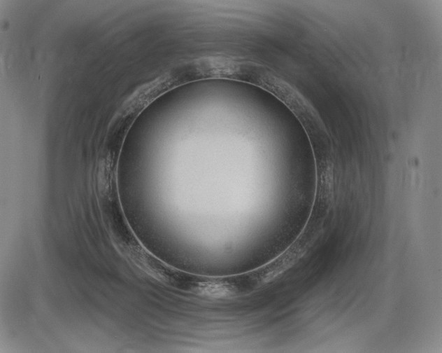 X0000086270218200703291444