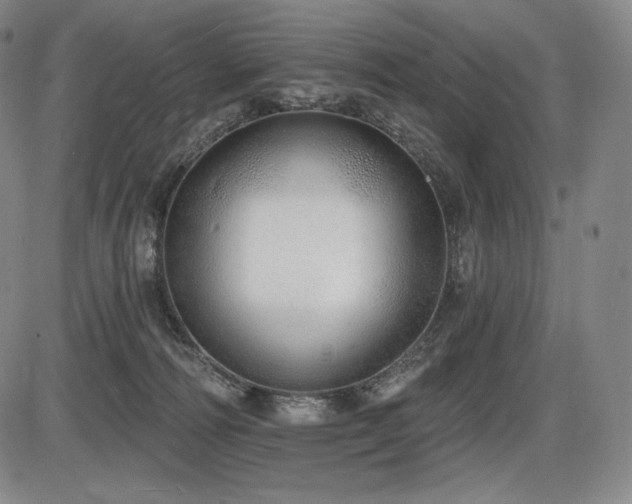 X0000086270226200703291444