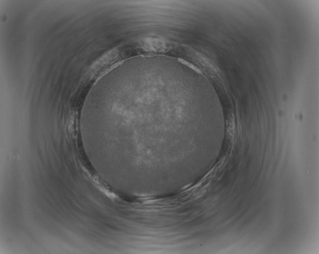 X0000086270233200703291443