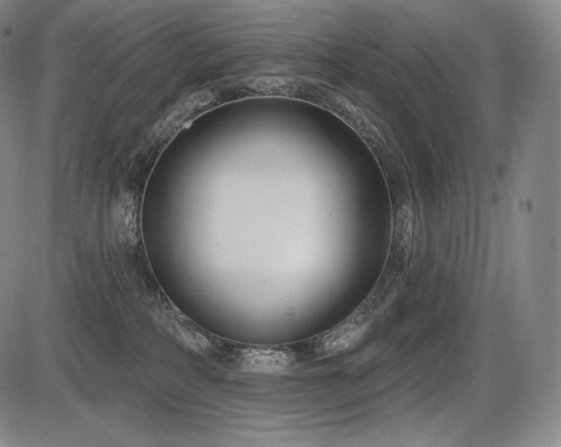 X0000086270234200703291443