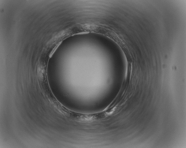 X0000086270235200703291443