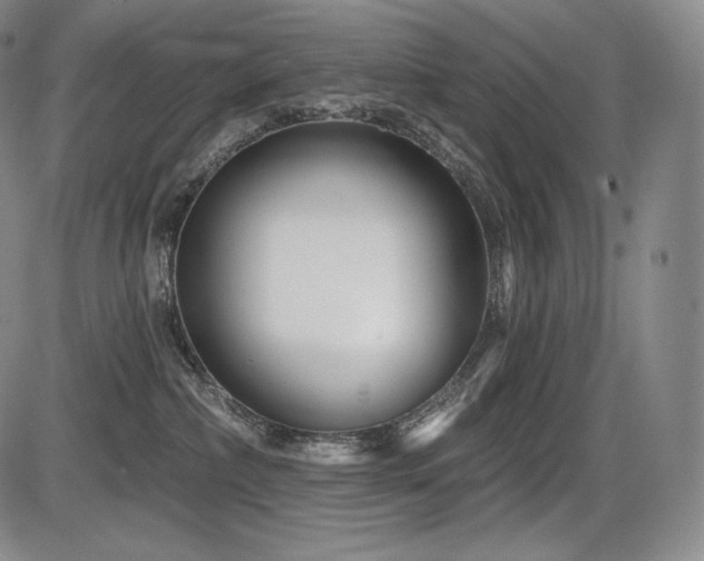 X0000086270236200703291443