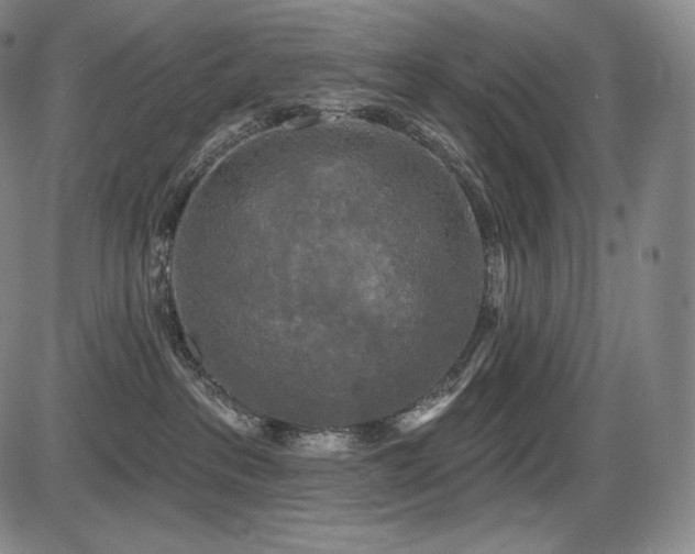 X0000086270237200703291443