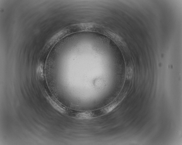 X0000086270238200703291443