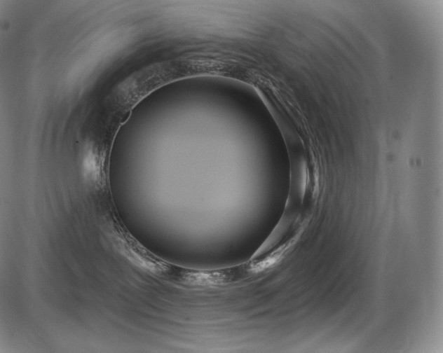 X0000086270239200703291443