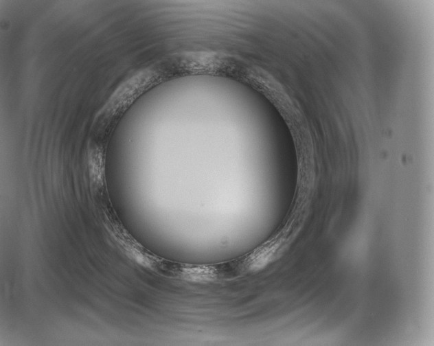 X0000086270240200703291443