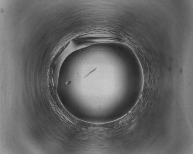 X0000086270242200703291443