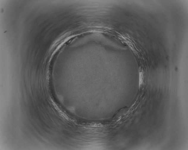 X0000086270243200703291443