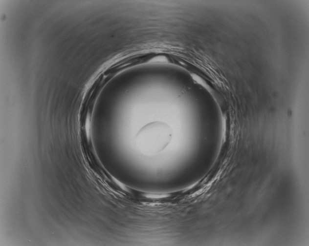 X0000086270244200703291443