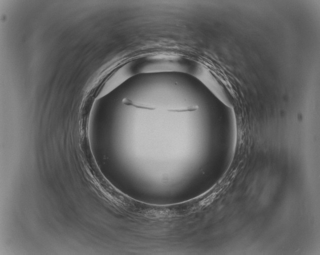 X0000086270245200703291443