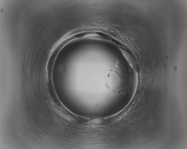 X0000086270246200703291443