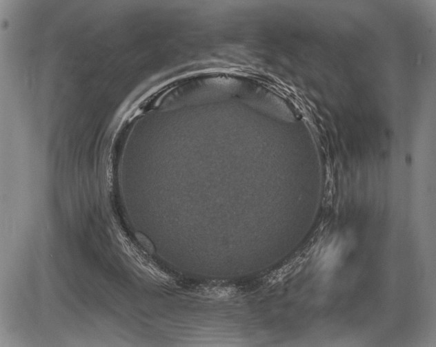 X0000086270247200703291443