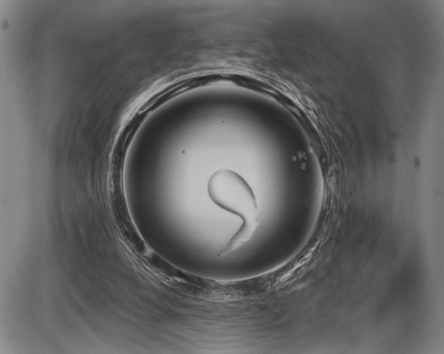 X0000086270248200703291443