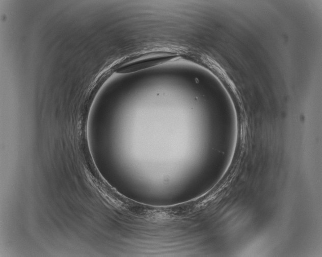 X0000086270249200703291443