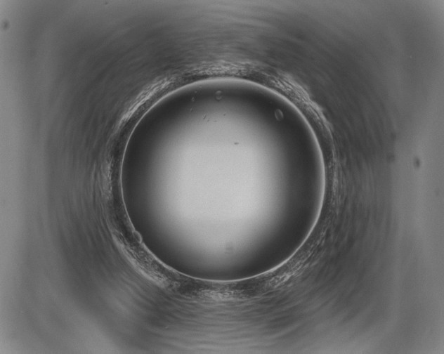 X0000086270250200703291443