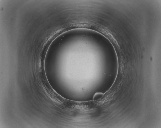 X0000086270251200703291443