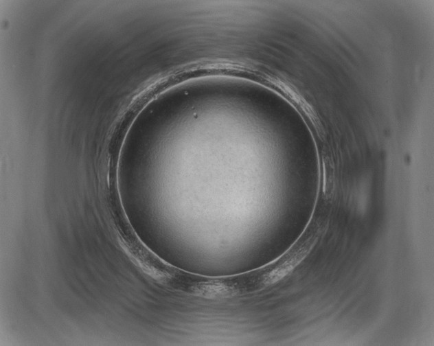 X0000086270253200703291443