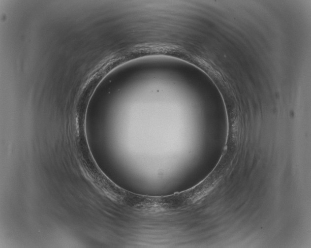 X0000086270254200703291443