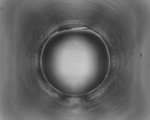 X0000086270255200703291443