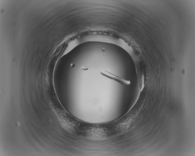 X0000086270256200703291443