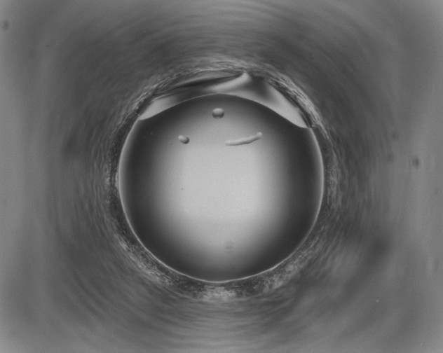 X0000086270257200703291443