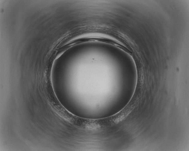 X0000086270258200703291443