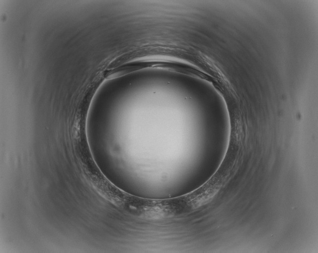 X0000086270259200703291443