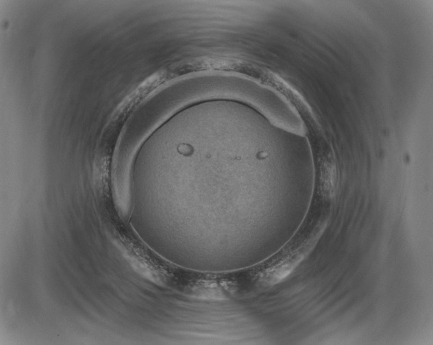 X0000086270260200703291443