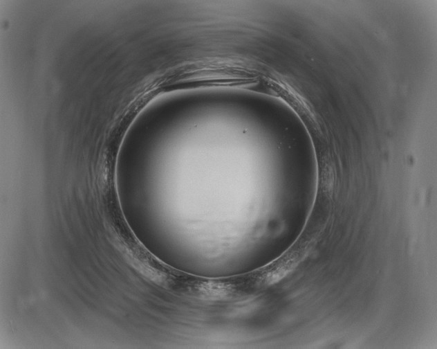 X0000086270261200703291443