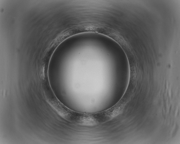 X0000086270262200703291443