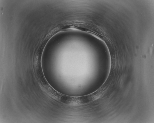 X0000086270263200703291443