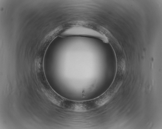 X0000086270264200703291443