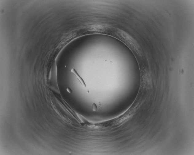 X0000086270265200703291443