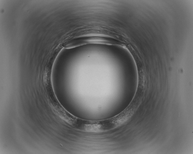 X0000086270266200703291443