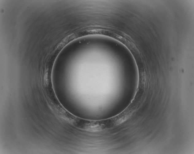 X0000086270267200703291443