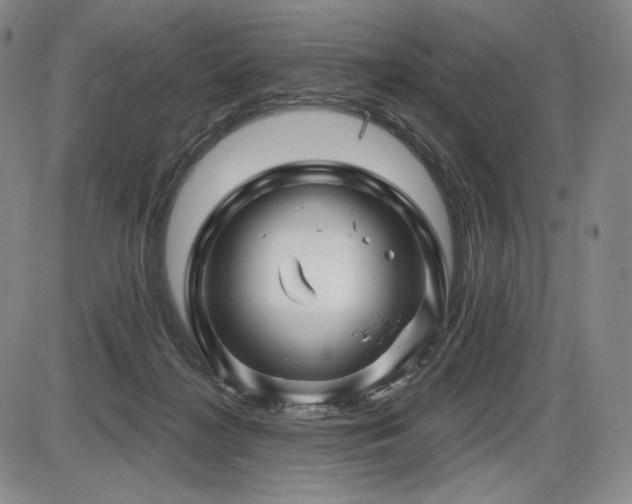 X0000086270268200703291443