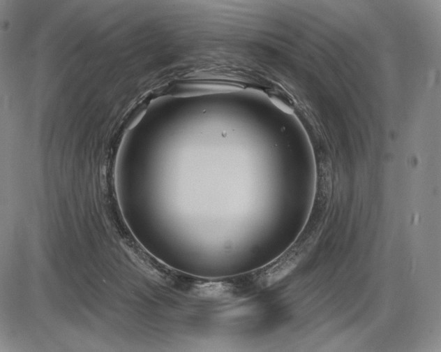 X0000086270269200703291443