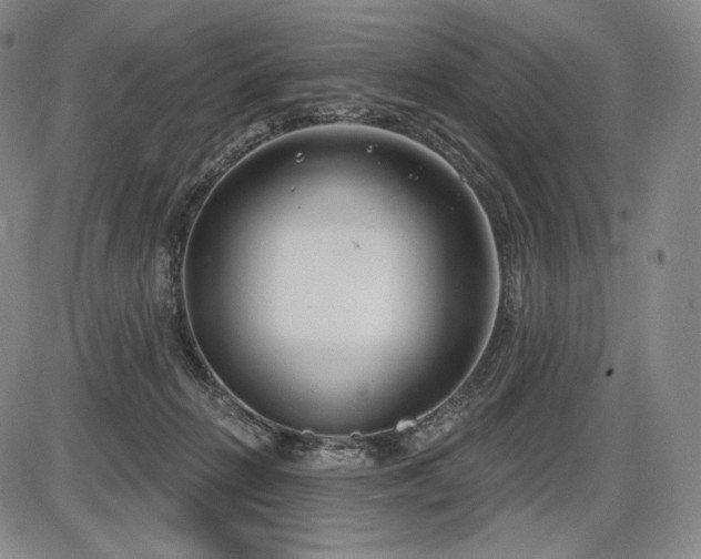 X0000086270270200703291443