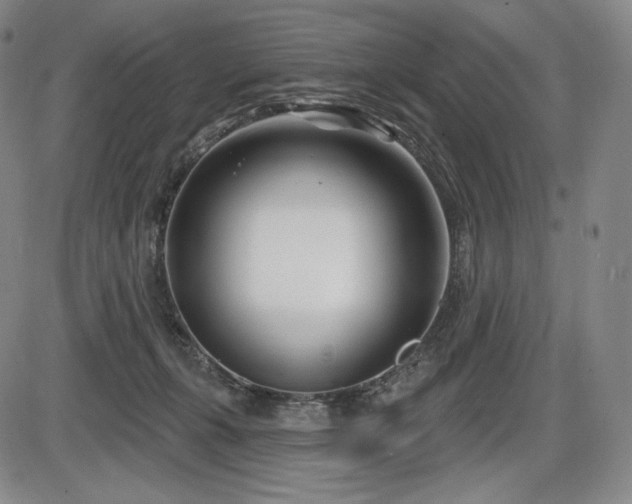 X0000086270271200703291443