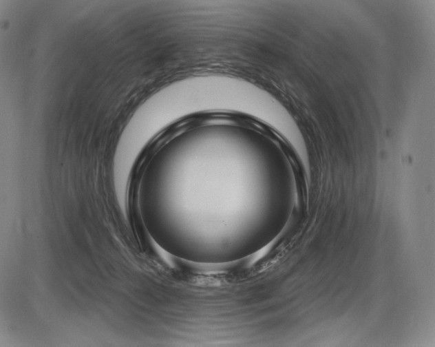 X0000086270272200703291443