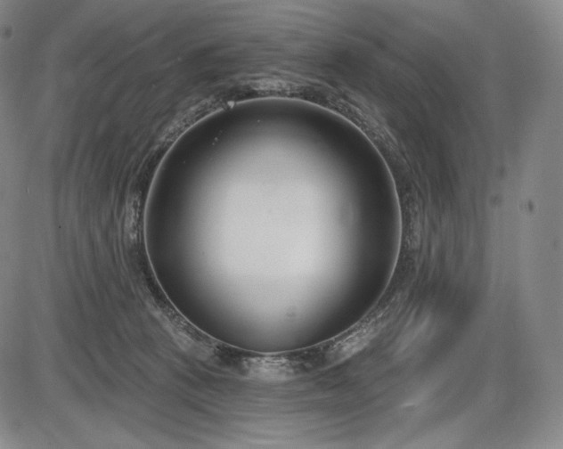 X0000086270273200703291443