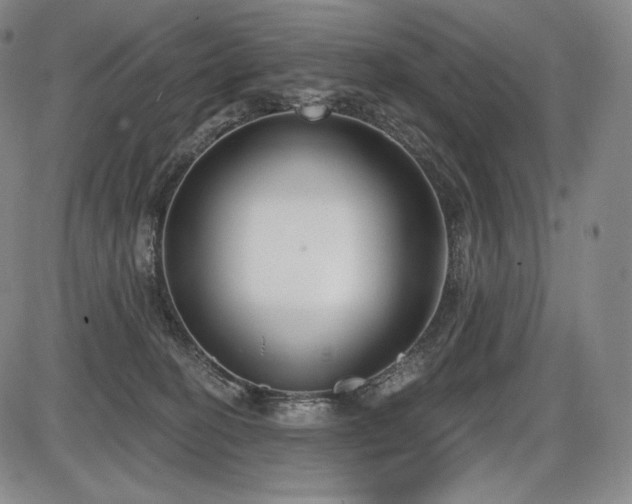 X0000086270274200703291443