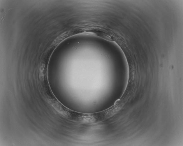 X0000086270275200703291443