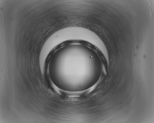 X0000086270276200703291443