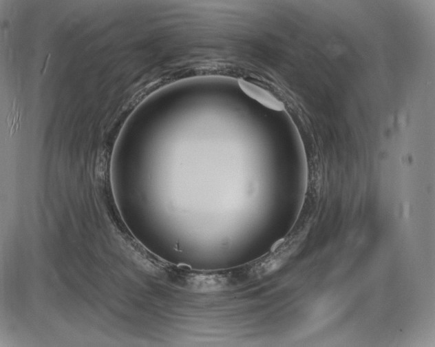 X0000086270277200703291443