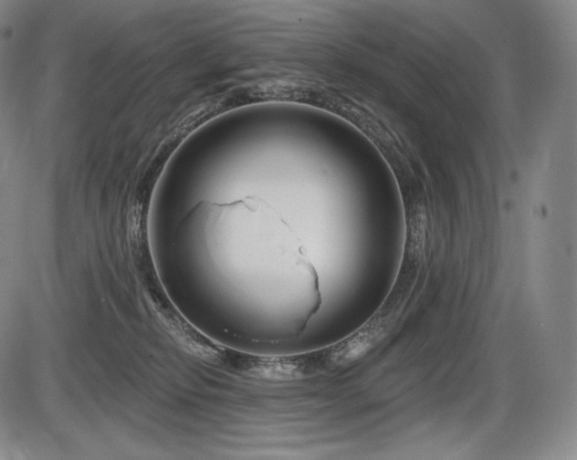 X0000086270278200703291443