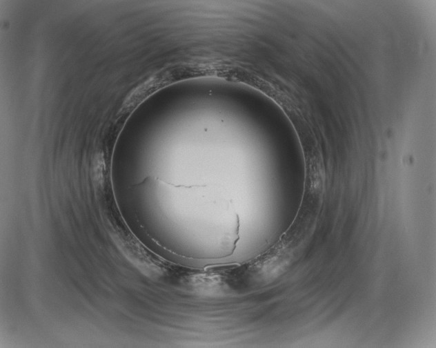 X0000086270279200703291443