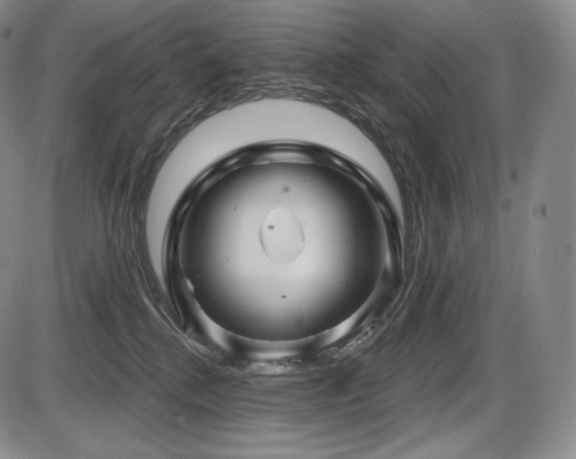 X0000086270280200703291443