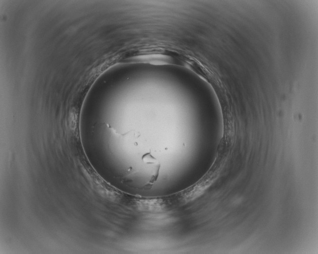 X0000086270281200703291443